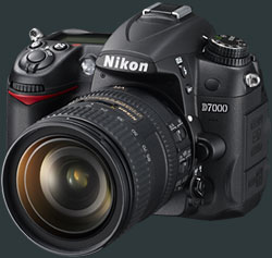 Nikon D7000 Pic